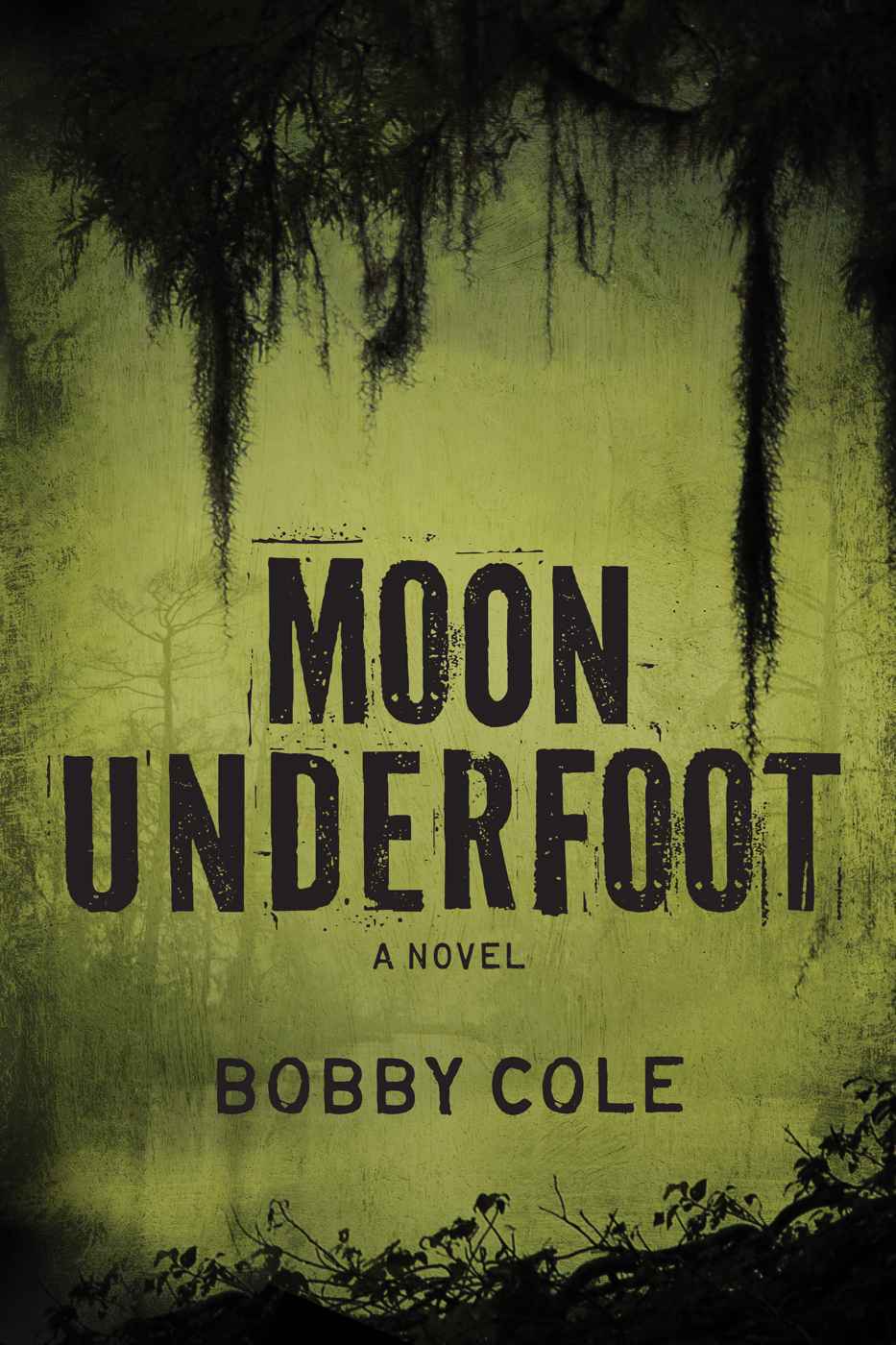 Moon Underfoot (A Jake Crosby Thriller Book 2) cover