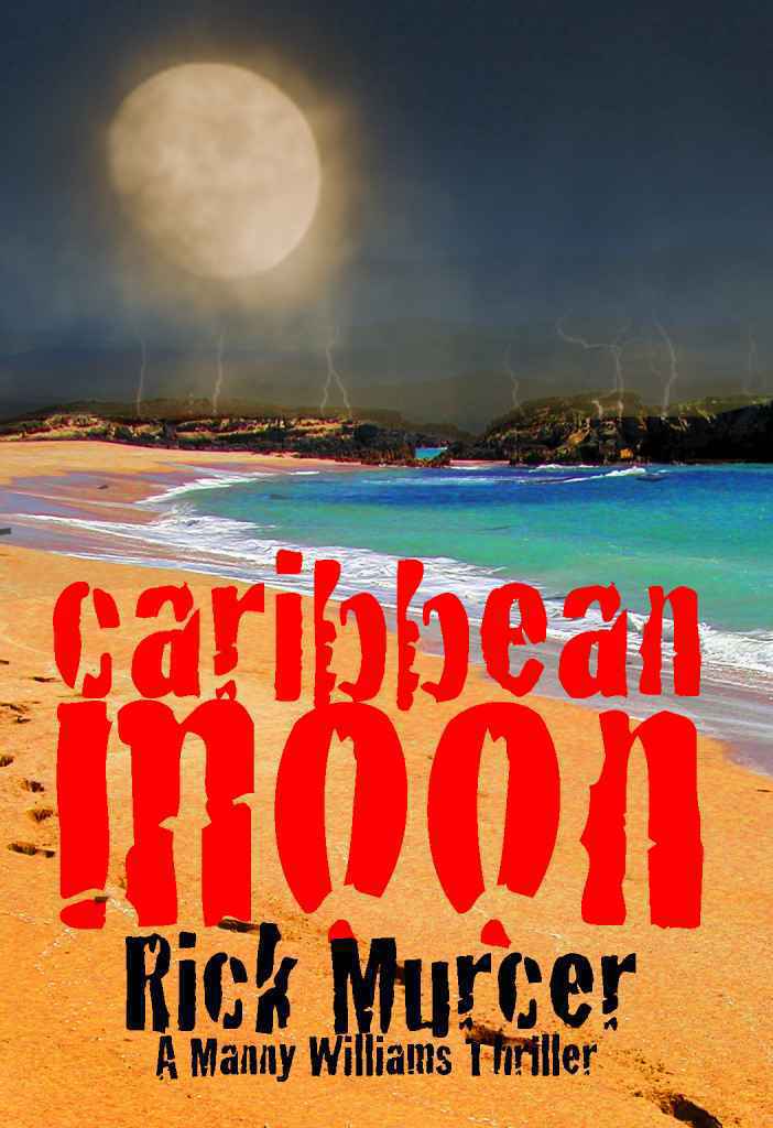 Manny Williams Series cover