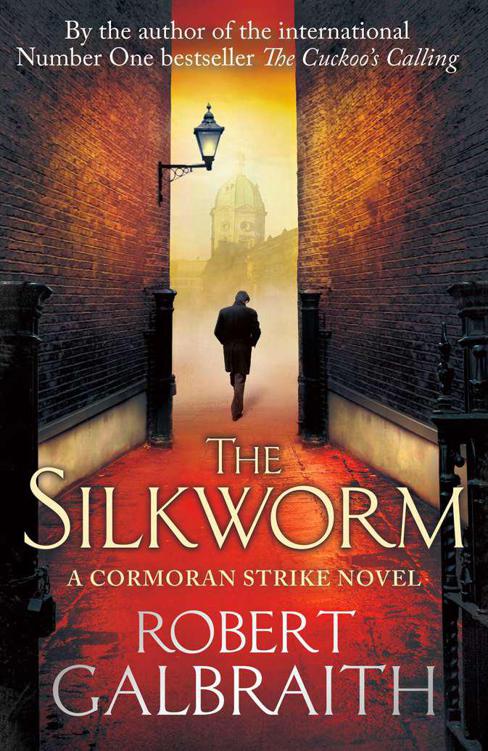 The Silkworm cover