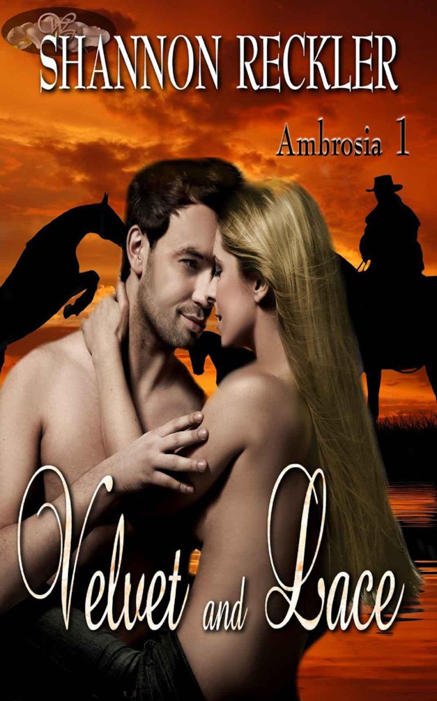 Velvet and Lace cover
