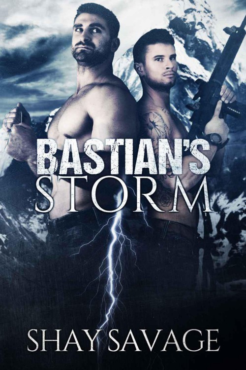 Bastian's Storm cover