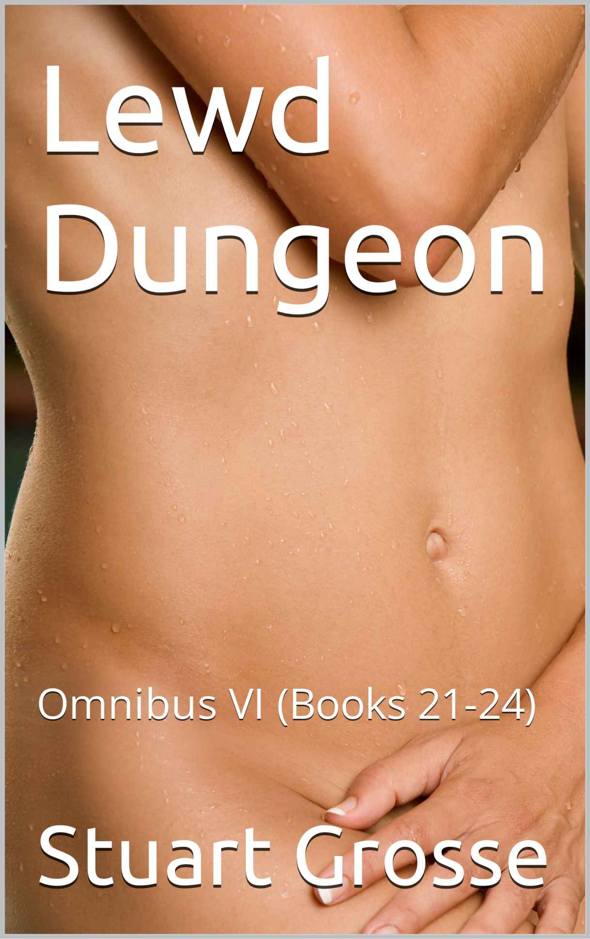 Lewd Dungeon: Omnibus VI (Books 21-24) cover
