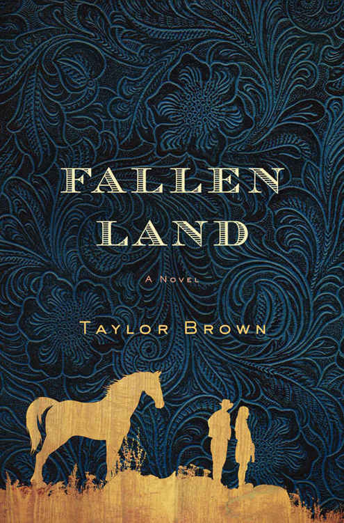 Fallen Land: A Novel cover